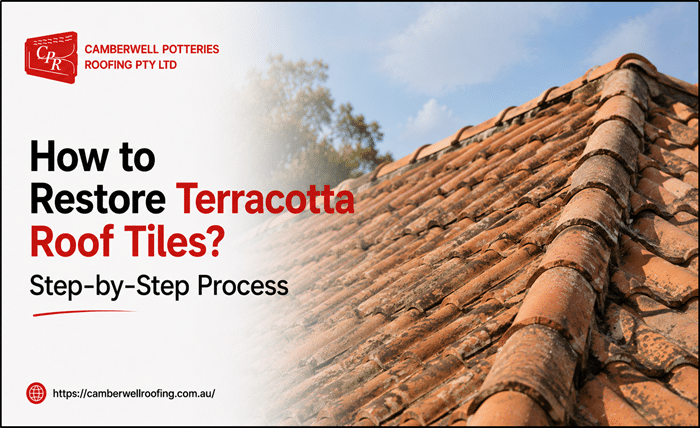 Terracotta Roof Tiles