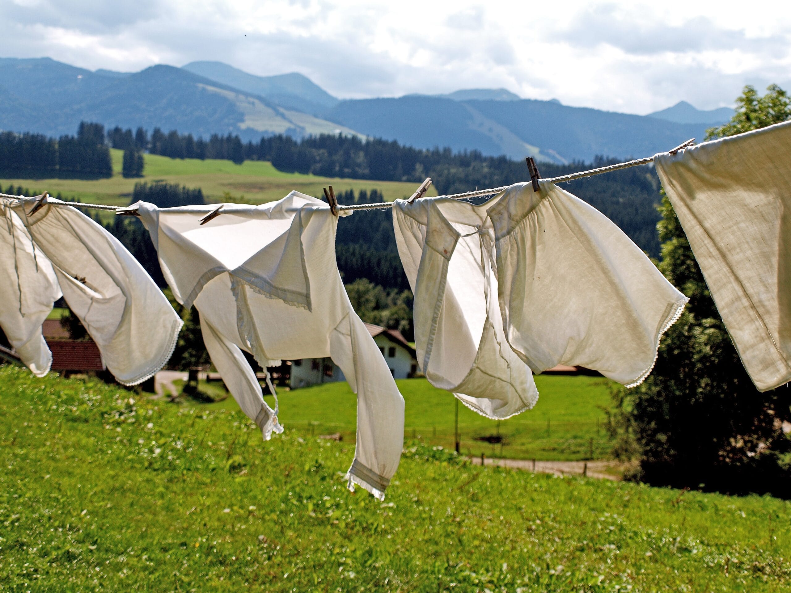 Premium Dry Cleaning